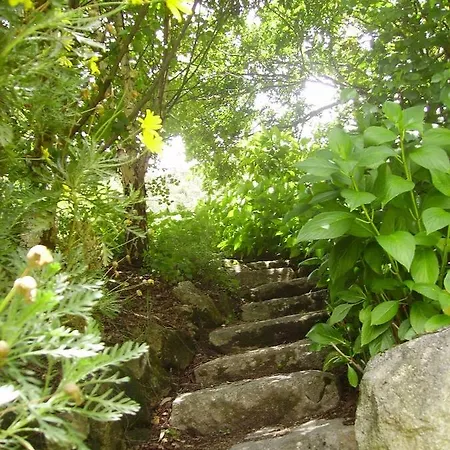 Oportonature *