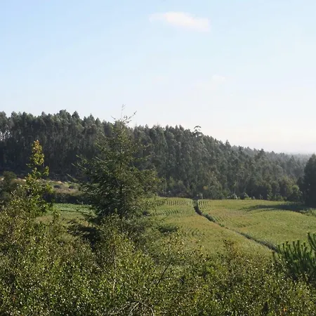 Oportonature Quarto em Acomodações Particulares